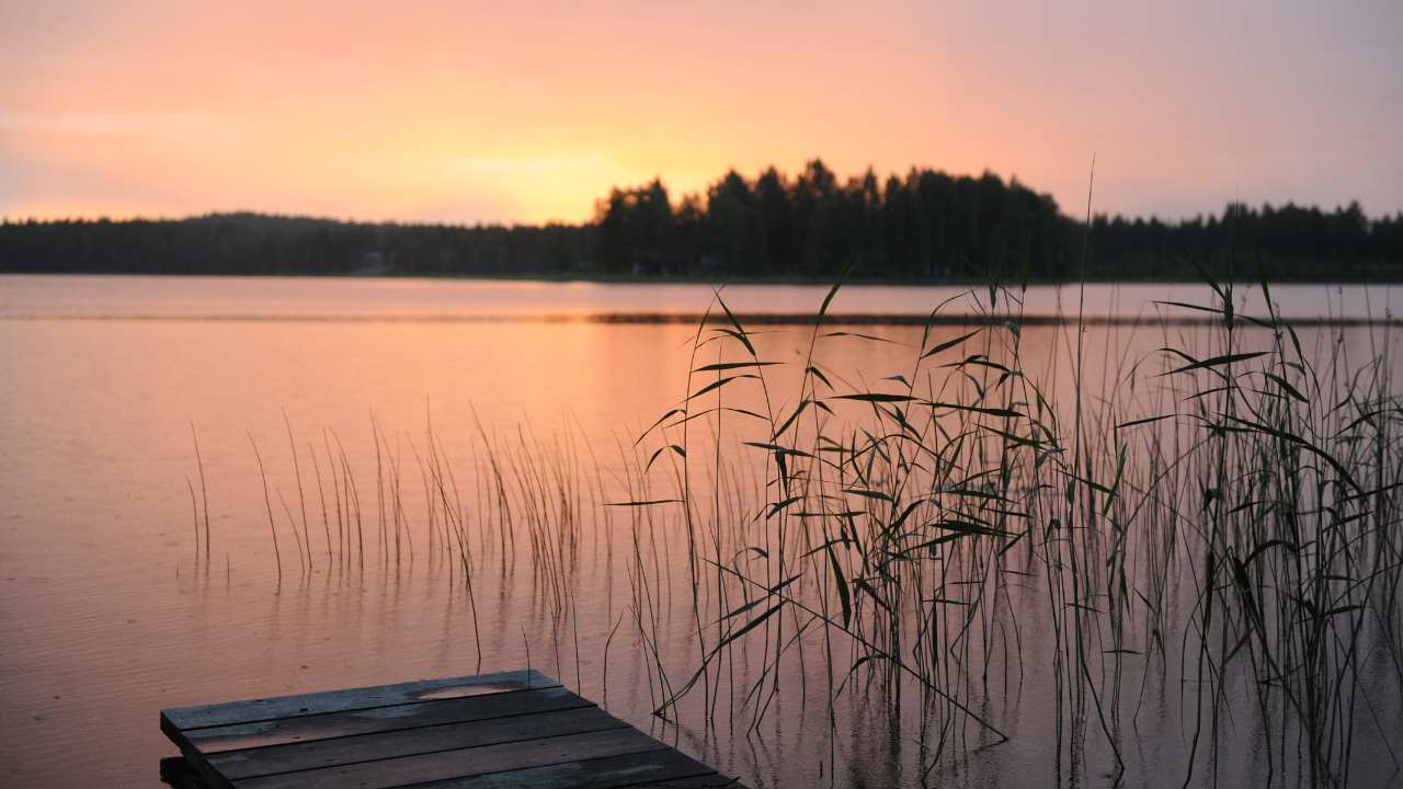 Lakeside View