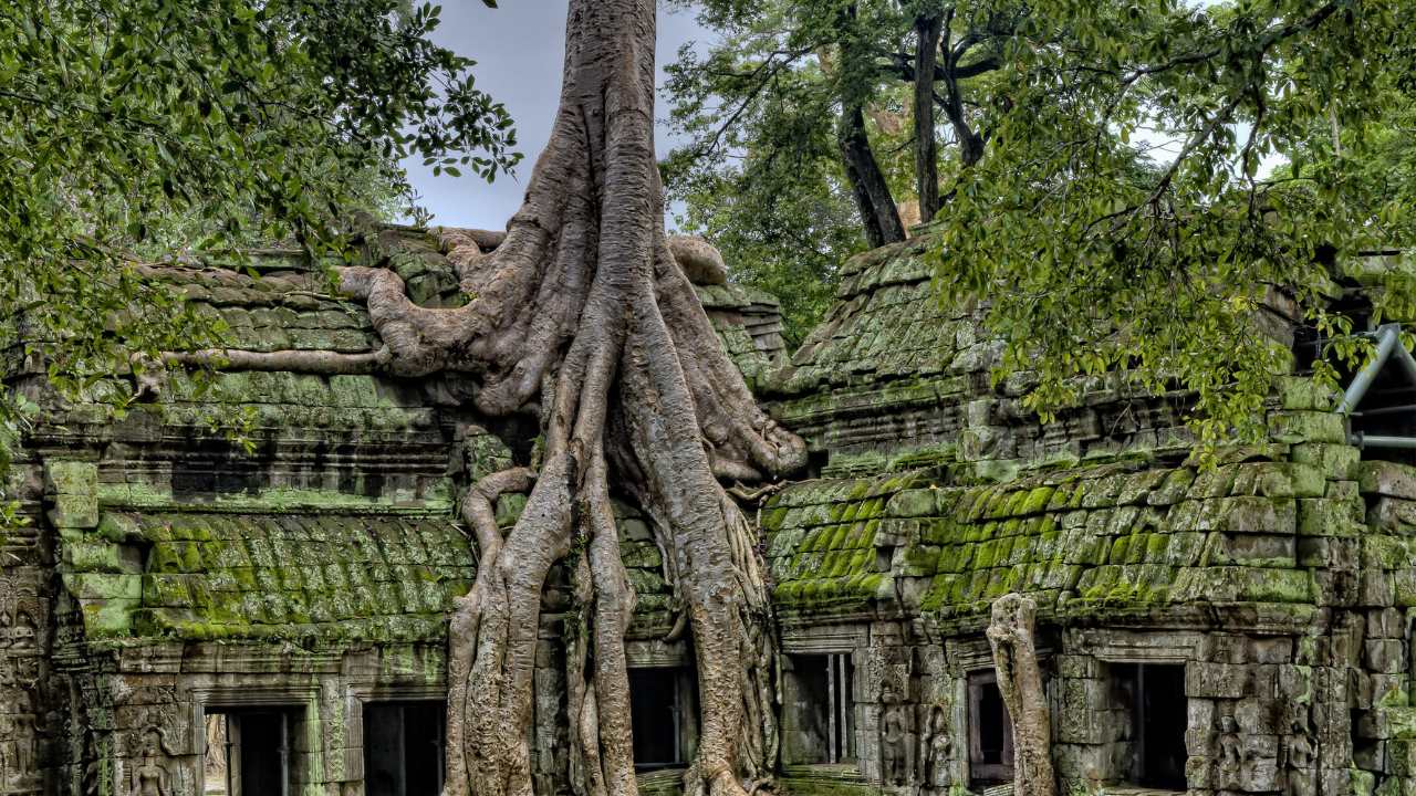 Guimarães' Ancient Roots